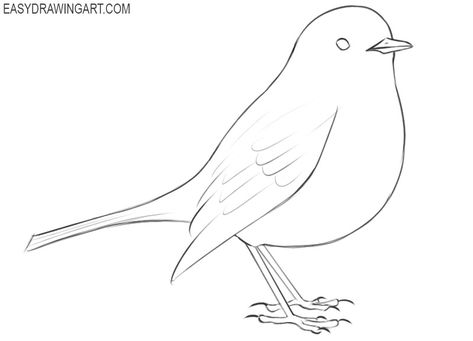 robin bird drawing easy How To Draw A Robin, Robin Drawing Simple, Robin Sketch, Robin Drawing, Bird Head, Head Drawing, Bird Drawing, A Robin, Drawing Lesson