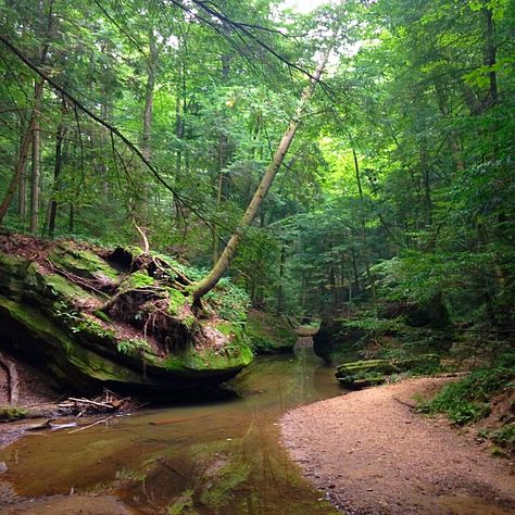 Old mans cave park hocking hills Ohio USA #outdoors #nature #sky #weather #hiking #camping #world #love http://bit.ly/2H7baP3 Hocking Hills Ohio, Usa Hiking, Sky Weather, Hocking Hills, Backpacking Adventure, Mountains Photography, Ohio Usa, Camping Outdoors, Mountain Climbing