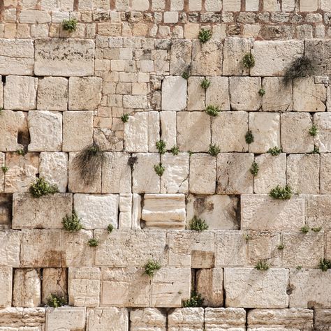 "Jewish Kotel Wall Art - Vegetation on the Wailing Wall - Kotel Fine Art Print - Jewish wall art deco - Wall Fine Art Photography MEDIUM: Photographic Print or Canvas Print PRINT SIZES: up to 32X48\" / 81x122cm (details below) MADE IN ISRAEL & PRINT IN USA 8x10\" -> 20x25cm 12x12 -> 30x30cm 12x16\" -> 30x40cm 12x18\" -> 30x45cm 16x16\" -> 40x40cm 16x20\" -> 40x50cm 18x24\" -> 45x61cm 24x36\" -> 61x91cm 30X45\" -> 76x114cm 32X48\" -> 81x122cm ARTWORK IS NOT FRAME The Wailing, Wailing Wall, Wall Art Deco, Emoji Symbols, Western Wall, Art Deco Wall, Art Drawings Sketches Pencil, Biblical Art, Jewish Art