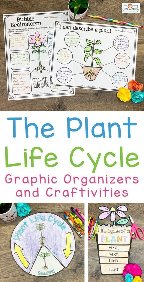 Plant Life Cycle Project, Plants Life Cycle Activities, Plant Life Cycles, Teaching Plants, Life Cycles Activities, Plants Unit, Create Name, Science Rules, Stem Crafts