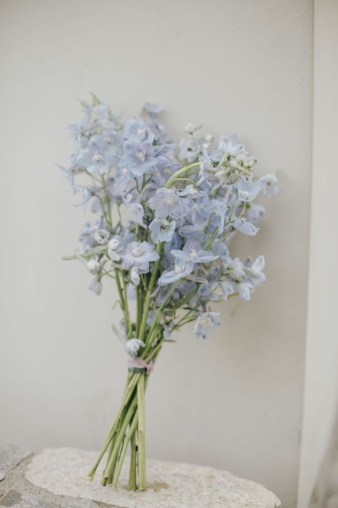 Aesthetic Wedding Bouquet Blue, Small Blue Flowers Bouquets, Wedding Bouquet Delphinium, Blue And White Mini Bouquet, Blue Flowers Delphinium, Blue Delphinium Wedding Bouquet, Small Blue Bridesmaid Bouquet, Pale Blue Delphinium, Single Variety Bouquet