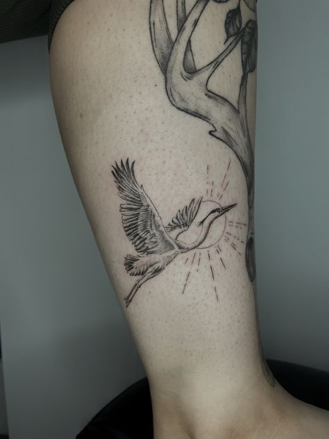 Bird Tattoo Placement Ideas, Flying Heron Tattoo, Bird Tattoos For Women Leg, Spoonbill Tattoo, Back Calf Tattoos Men, Hoopoe Tattoo, Crane Tattoo Leg, Fine Line Crane Tattoo, Heron Bird Tattoo