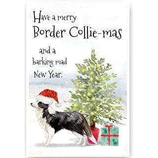 Christmas Border Collie, Boxer Dog Quotes, Cute Border Collie, Sheep Christmas, Cute Border, Quirky Christmas, Funny Boxer, Jack Russell Dogs, Cute Borders