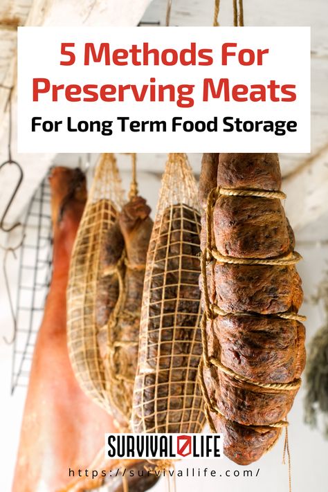 The pandemic showed how helpless Americans can be when food starts running out on the shelves. Be more self-sufficient and prepared to preserve your meat with these long term food storage methods. Storing Food Long Term, Cured Meat Recipes, Things To Learn, Long Term Food Storage, Cook Smarts, Processed Meat, Smoked Food Recipes, Odds And Ends, Survival Food