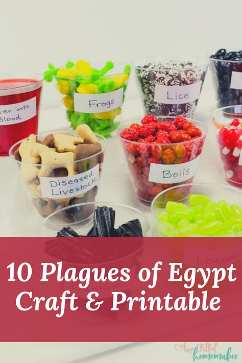 Do you want to teach your children all about the 10 plagues of Egypt in Exodus 7 in a fun, creative way? I have a really unique method to accomplish this goal by adding a delicious and fun memory making craft! Did I mention that while you teach, your kids can eat AND learn all at the same time? Lifewise Academy, 12 Plagues Of Egypt Craft, Exodus Plagues Craft, 9 Plagues Of Egypt Craft, Moses And The 10 Plagues Craft, Ten Plagues Craft For Preschool, Plagues Craft, Moses And The Plagues Craft, Moses And Pharaoh Craft