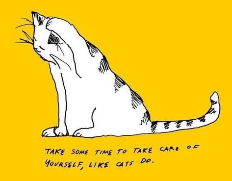 Drawing Of A Cat, Fotografi Vintage, Cat Quotes, Mellow Yellow, A Drawing, Crazy Cat Lady, Pretty Words, Crazy Cats, Make Me Happy