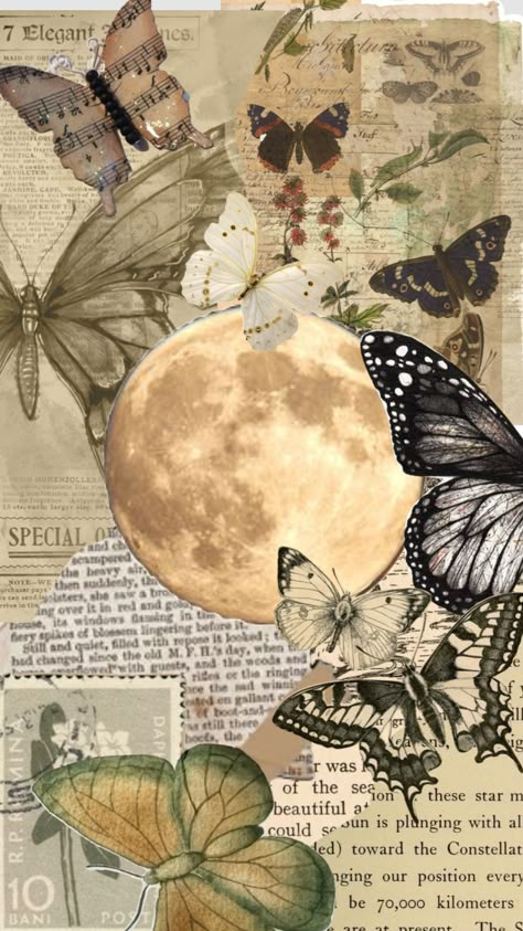 Follow for follow #butterfly #book #fly #insect #vintage #beige #fall #autumn #gilmoregirls Vintage Butterfly Aesthetic, Butterfly Aesthetic Vintage, Fairy Acedamia, Butterfly Wallpaper Aesthetic Vintage, Aesthetic Vintage Butterfly, Insects Aesthetic, Butterfly Collage, Tle Portfolio Design, Butterfly With Books Wallpaper