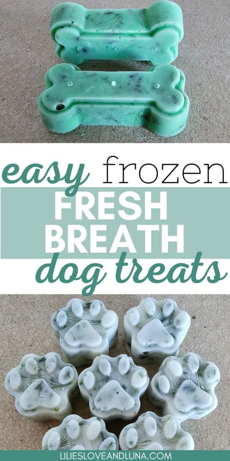 Fresh Breath Dog Treats, Homemade Healthy Dog Treats, Frozen Dog Treats Homemade, Foods Dogs Can Eat, Dog Treats Recipe, Pet Treats Recipes, Dog Treats Homemade Easy, Easy Dog Treat Recipes, Frozen Dog Treats