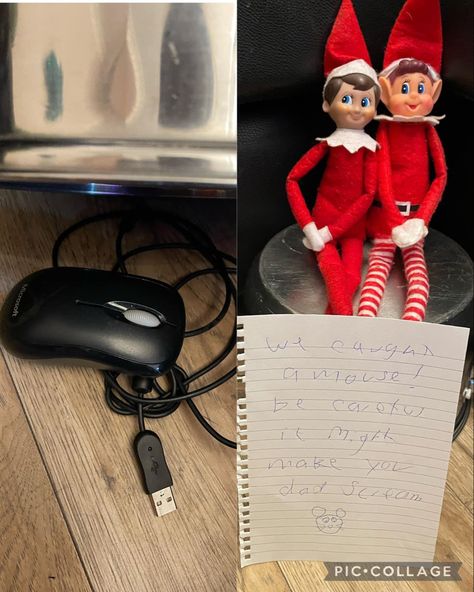 This was hilarious! The boys were scared to lift the pan incase it ran out thinking it was a real mouse 🤣 definitely a good prank! #elfontheshelf #elfontheshelfideas Catch A Mouse, Good Pranks, On The Shelf, A Mouse, The Boys, Elf On The Shelf, Elf, Things To Think About, Make It Yourself