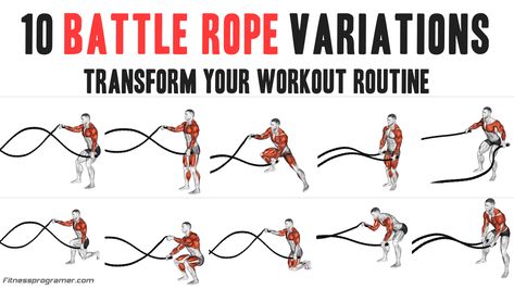 10 Battle Rope Variations To Transform Your Workout Routine Battle Rope Exercises, Battle Rope Workout, Rope Training, Rope Exercises, Lower Body Muscles, Muscular Endurance, Battle Ropes, Lateral Lunges, Shoulder Muscles