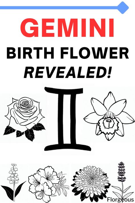 Gemini Birth Flower Gemini Birth Flower Tattoo, Gemini Flower Tattoo Birth Month, Gemini Flower Tattoo, Gemini Birth Flower, June Magick, Gemini Flower, Lillies Tattoo, Gemini Symbol, Birthday Horoscope