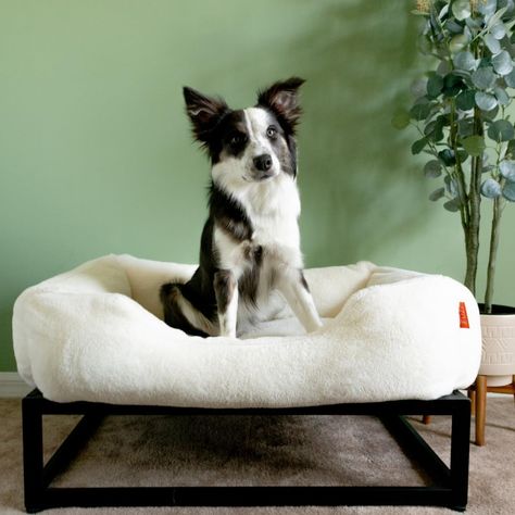 Luxury Dog Bed Dog Window Perch, Raised Wooden Dog Bed, Chew Proof Dog Bed, Dog Bed Frame, Wood Dog Bed, Pet Bed Furniture, Raised Dog Beds, Wooden Dog Bed, Luxury Dog Bed