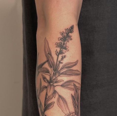 Kenna Machin Green on Instagram: "Olives, sage, and tea plant for Lisa. Thanks for making the trip to New York for this!!❣️ #nyctattoo #brooklyntattoo #phillytattoo" White Sage Tattoo, Sage Plant Tattoo, Sage Tattoo, Brooklyn Tattoo, Nyc Tattoo, Sage Plant, Tea Plant, Trip To New York, Plant Tattoo