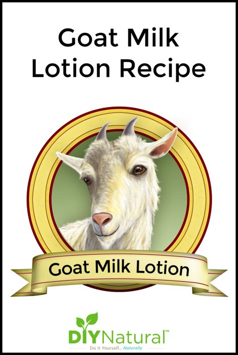 I've had a lot of success making creams but never mastered lotion making, until recently! Now that I have I wanted to make a simple goat milk lotion recipe. Goat Milk Lotion Recipe, Milk Lotion Recipe, Body Lotion Recipes, Goat Milk Soap Recipe, Homemade Lotion Recipe, Milk Soap Recipe, Melt And Pour Soap Base, Goat Milk Lotion, Goat Milk Recipes