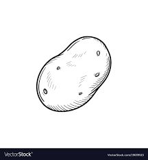 Potato hand drawn sketch icon Royalty Free Vector Image Potato Doodle Drawing, Small Potato Tattoo, Potato Tattoo Ideas, Sweet Potato Tattoo, Potato Tattoo Cute, Potato Drawing Cute, Potato Sketch, Potatoes Drawing, Potato Icon