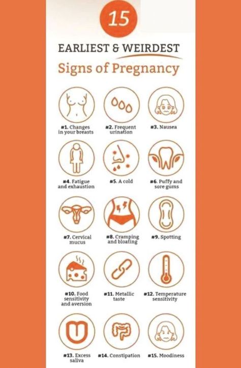 Sign Of Pregnancy, Twin Pregnancy Symptoms, Symptoms Of Pregnancy, Pregnancy Diet Plan, Getting Pregnant Tips, Unique Pregnancy Announcement, Pregnancy Facts, Mother Care, Pregnancy Help