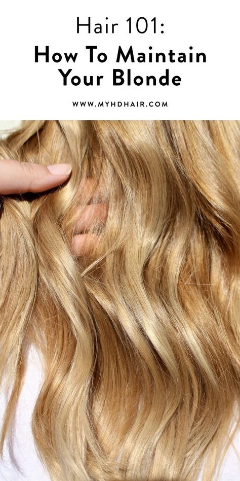 Hair 101: How To Maintain Your Blonde Blonde Hair Maintenance Tips, How To Maintain Blonde Hair, Hair Colour At Home, Healthy Blonde Hair, Blonde Hair Tips, Blonde Hair Colour, Hair Color Swatches, Medium Blonde Hair, 2023 Goals