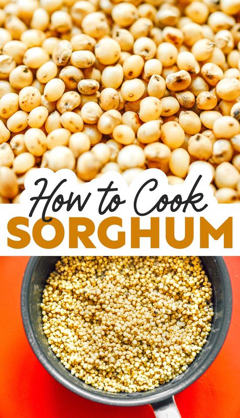 Everything you need to know about cooking sorghum, including where to buy it, varieties, storage, and how to cook sorghum perfectly! #ancientgrain #glutenfree #vegan #vegetarian Sorghum Recipes, Lectin Free Diet, Cooking Vegetarian, Cooking Grains, Cook Smarts, Vegan Side Dishes, Healthy Grains, Grain Foods, Food Sensitivities