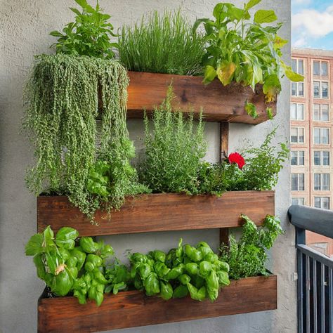 10 Best Small Garden Layout Ideas - DIYCozy: Nails, Decor, DIY, Gardening, Holidays Indoor Small Garden, Small Herb Garden Ideas Outdoors, Vertical Herb Garden Ideas, Herb Garden On Fence, Small Garden Design Ideas Layout, Small Garden Layout Ideas, Small Kitchen Garden, Balcony Vegetable Garden, Fast Growing Privacy Shrubs