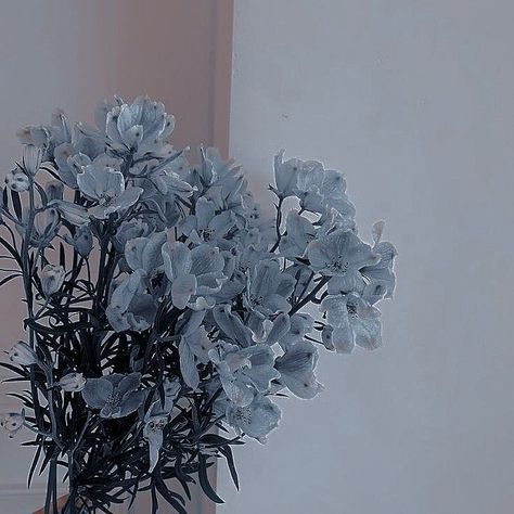 Blue Grey Wallpaper, Iphone Wallpaper Lights, Dark Slate Blue, Everything Is Blue, Water Aesthetic, Light Blue Aesthetic, Blue Aesthetic Pastel, Lovely Flowers Wallpaper, Gray Aesthetic