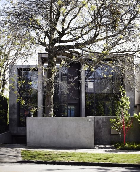 Malvern - Agushi Internal Courtyard Garden, Malvern House, Residential Exterior, Scandinavian Aesthetic, Internal Courtyard, Melbourne House, Modern Scandinavian, Amazing Home, Inner City