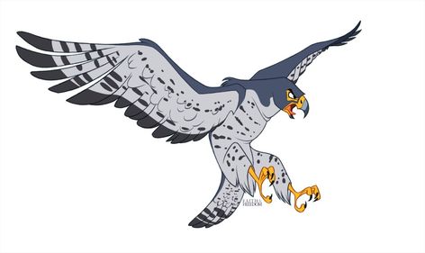 Peregrine Falcon Flying, Peregrine Falcon Art, Falcon Flying, Flying Drawing, Falcon Drawing, Falcon Design, Falcon Art, Pet Anime, Wings Drawing