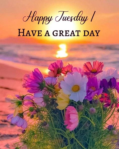 Happy Tuesday! Take time to enjoy some nature today and have a terrific day! 🌞 Tuesday Good Morning Images, Tuesday Morning Wishes, Happy Tuesday Pictures, Happy Tuesday Images, Good Morning Tuesday Images, Happy Tuesday Morning, Week Blessings, Tuesday Quotes Good Morning, Tuesday Greetings