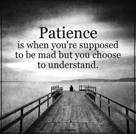 Patience is a virtue but understanding is the key Patient Is A Virtue Quotes, Patience Is A Virtue Quotes, Patient Quotes, Virtue Quotes, Catchy Lines, Patience Is A Virtue, Patience Quotes, Quotable Quotes, Empath