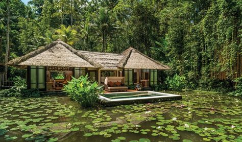 Indonesia Luxury Hotels & Beach Resorts | Black Tomato Best View Hotel, Tropical Arch, Resorts Design, Resort In Bali, Farm Resort, Kolam Koi, Hotel Bali, Bali Resort, Bali Travel Guide