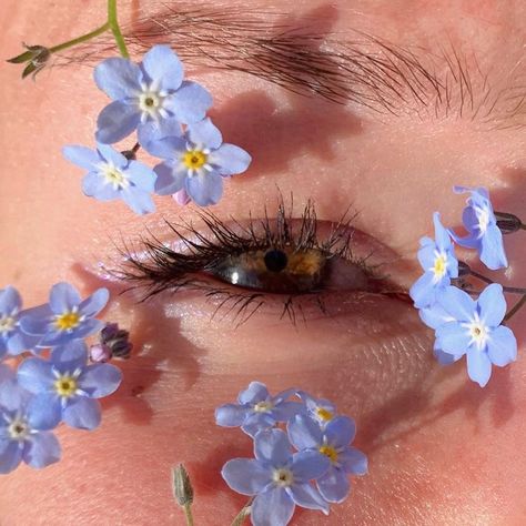 Eye Photography, I Can, Flowers, Photography, Pins, Blue