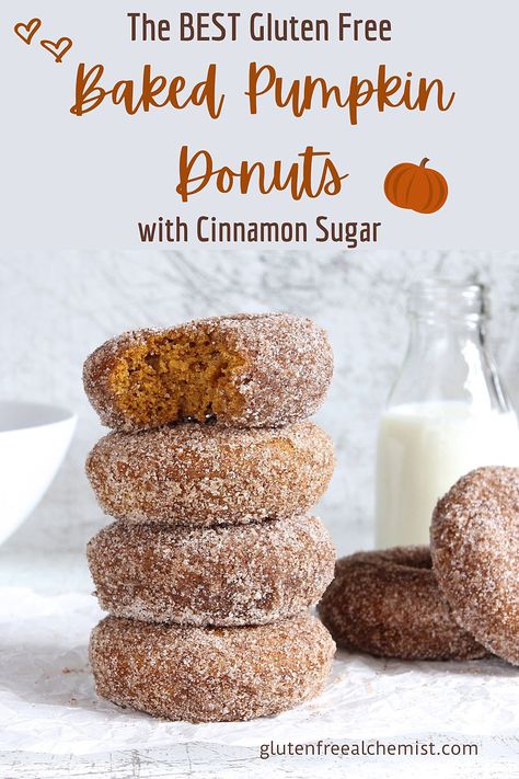 Perfect Gluten Free Pumpkin Donuts with crunchy Cinnamon Sugar. These baked ring Doughnuts are both #wheatfree and optional #dairyfree #glutenfree #donuts #doughnuts #baked #pumpkin #ringdonuts #cinnamon via @gfalchemist Gluten Free Baked Pumpkin Donut Recipe, Gluten Free Pumpkin Donut Holes, Pumpkin Donuts Gluten Free, Gluten Free Pumpkin Doughnut, Healthy Pumpkin Donuts Baked, Gf Pumpkin Donuts Baked, Coconut Flour Donut Recipes, Gluten Free Cake Donuts Baked, Gf Donuts Baked