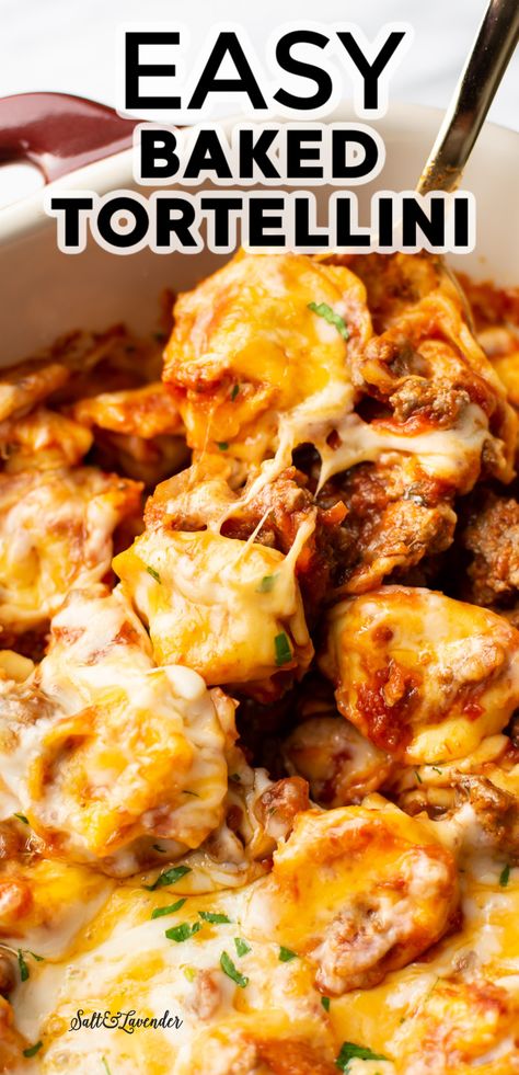 Baked Tortellini With Sausage, Tortellini Meatball Recipes, Pasta Recipes Tortellini Easy Dinners, Tortellini Hotdish, Cheesy Meat Sauce Baked Tortellini, Cheese Tortellini With Meat Sauce, Tortellini Bake With Sausage, Tortellini Pasta Recipes Alfredo Sauce, Tortellini With Pasta Sauce