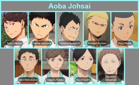 Haikyu Teams, Aoba Johsai Team, Aoba Johsai, Haikyuu Volleyball, Hero Poster, Haikyuu Karasuno, Volleyball Anime, Haikyuu Funny