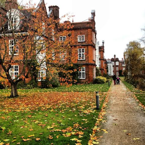 Fall Campus Aesthetic, Newnham College Cambridge, College Fall Aesthetic, Cambridge Autumn, Newnham College, Semester Abroad, College Town, Outdoor Quotes, Autumn Scenery