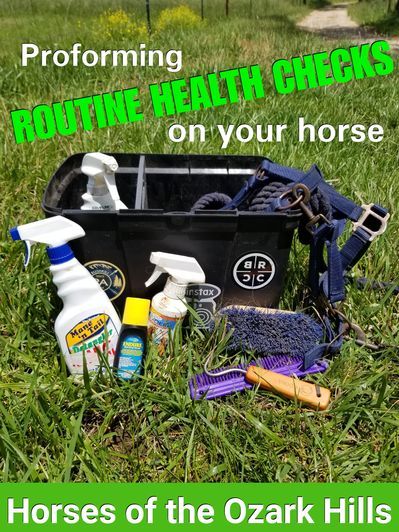 As horse owners, it is our job to ensure our horse’s well being and health. By performing a daily health check on our horse, we can keep our horses healthy and safe. It is important to be refreshed on how to do a routine health check on your horse... Horse Gear, Equestrian Lifestyle, Horse Health, Horse Owner, Horse Care, Health Check, Well Being, Health Care, Checks