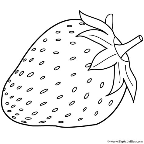 coloring page Coloring Pages Fruits, Strawberry Coloring Pages, Strawberry Pictures, Strawberry Shortcake Coloring Pages, Strawberry Drawing, Outline Pictures, Flower Crafts Kids, Paper Quilling For Beginners, Strawberry Color