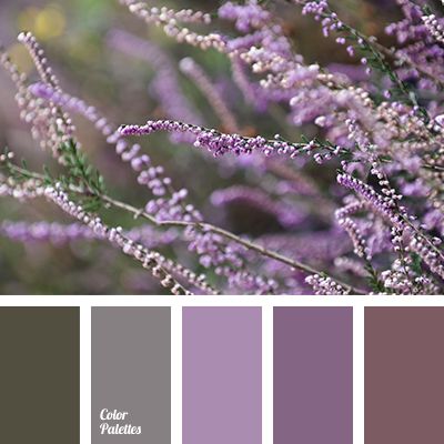 Color Palette #3191 | Color Palette Ideas | Bloglovin’ Deco Violet, In Color Balance, Academia Bedroom, Green Living Room Decor, Wedding Color Pallet, Wall Living Room, Purple Color Palettes, Paint Color Schemes, Palette Ideas