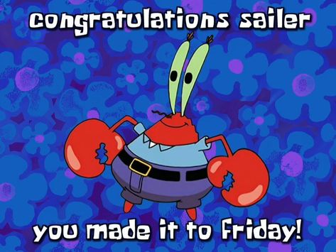 Spongebob What’s Funnier Than 24h, Spongebob You Know What’s Funnier Than 24, Spongebob You Know What’s Funnier, Spongebob Birthday Meme Funny, What Day Is Today, Twitter Accounts, Made It To Friday, Bad Teacher, Spongebob Chicken Meme