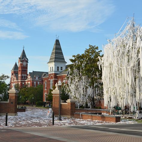 #auburn #alabama #collegeweekends #cw #shorttermrental #gotigers #tigers #auburntigers University Of Auburn, Auburn University Aesthetic, Auburn Aesthetic, Stair Gallery Wall, Gallery Wall Stairs, Auburn Gameday, October Mood Board, Opelika Alabama, Auburn Basketball