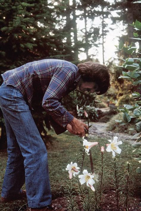 George Harrison in The Garden | The Genealogy of Style Happy Birthday George, Beatles George Harrison, Beatles George, Beatles Pictures, Liverpool City, This Is Your Life, The Fab Four, I'm With The Band, Jim Morrison