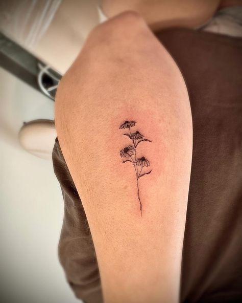 First tattoo ♡ ⠀ ⠀ ⠀ ⠀ ⠀ ⠀ #singleneedletattoo #finelinetattoo #columbusohio #ohiotattooers #ohiotattooartist #columbustattooers #ink #inkbylish #singleneedle #fineline #flowertattoo #firsttattoo #coneflower #floraltattoo #grovecity #grovecityohio Coneflower Tattoo, Ohio Tattoo, Grove City Ohio, Single Needle Tattoo, Fine Line Tattoos, First Tattoo, Tat Ideas, Flower Tattoo, Tatting