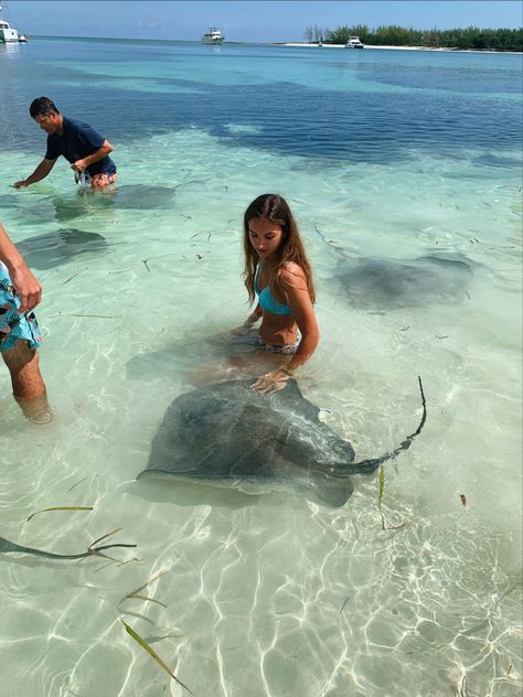 Swim With Stingrays, Swimming With Stingrays, Stingray Swimming, Stingray Aesthetic, The Bahamas, Bahamas Vacation Pictures, Bahamas Aesthetic, Bahamas Pictures, Beach Girl Aesthetic