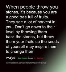 When people throw you stones, it/s because you are a good tree full of fruits. They see a lot of harvest in you. Don't go down to their level by throwing them back the stones, but throw them your fruits so the seeds of yourself may inspire them to change their ways. Insecure People Quotes, Fruit Quotes, Stone Quotes, Notable Quotes, Sharing Quotes, Reading Quotes, All Quotes, Positive Self Affirmations, Real Life Quotes