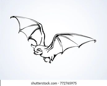 Bat Line Drawing, Bat Pics, Draw A Bat, Bat Images, Mum Tattoo, Fountain Pen Drawing, Ghost Drawing, Symbol Drawing, Bat Art