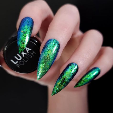 Chameleon Nails Flakes, Mood Changing Nails, Peacock Nails, Box Background, Miniature Ponies, Chameleon Nails, Beauty Land, Sharp Nails, 2024 Nails