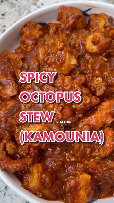 SPICY OCTOPUS STEW (OCTOPUS KAMOUNIA) 🐙🌶#harissa #harissapaste #tuni... | Octopus Recipe | TikTok Octopus Stew Recipes, Frozen Octopus Recipe, Octopus Stew, Spicy Octopus, Octopus Recipe, Octopus Recipes, Tunisian Food, Recipe Tiktok, Stew Recipes