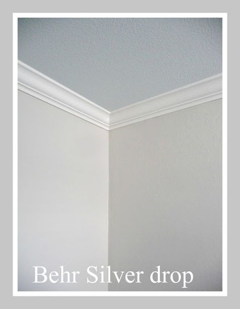 A New Found Love of GRAY!! with white moldings and soft blue ceiling Silver Drop Paint Color, Behr Silver Drop Paint, Silver Drop Behr Paint Color Schemes, Ceiling Colors For White Walls, Silver Drop Paint, Silver Drop Behr Paint, Silver Wall Paint, Condo Checklist, Silver Paint Walls