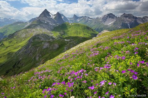 Alps Austria, Danube River, Heart Of Europe, Nice Places, Mountain Photos, Baroque Architecture, Mountain Photography, Mountain Village, Innsbruck