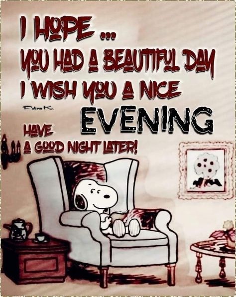 Snoopy Good Evening, Snoopy Evening, Goodnight Snoopy, Evening Blessings, Evening Wishes, Good Evening Wishes, Beautiful Good Night Quotes, Snoopy Collectibles, Woodstock Peanuts