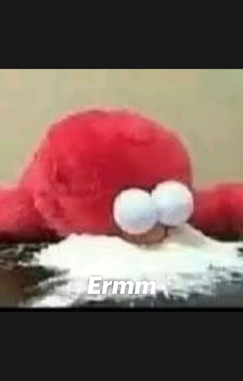 whats elmo doin Crazy Elmo, Cursed Elmo, Elmo Meme, Elmo Videos, Elmo Memes, Russian Dance, Music Beats, Internet Funny, Disney Drawings